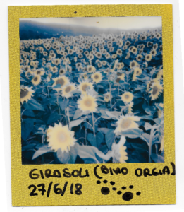 Review Polaroid Impulse 600