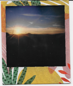 Review Polaroid Impulse 600