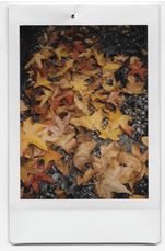 Review Fuji Instax Mini 8